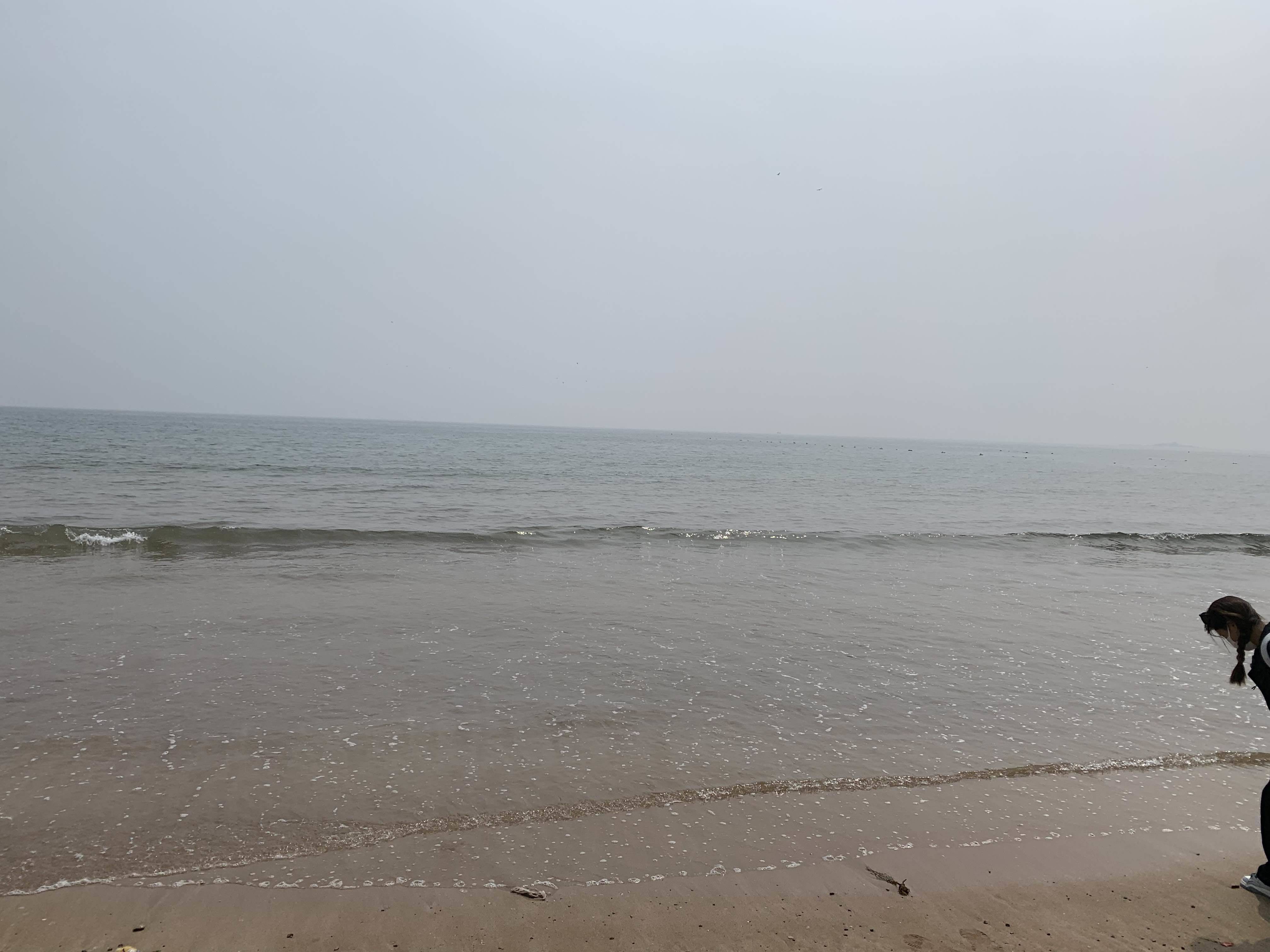 去码头整点薯条