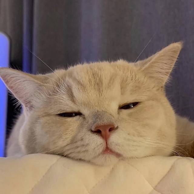 恰油