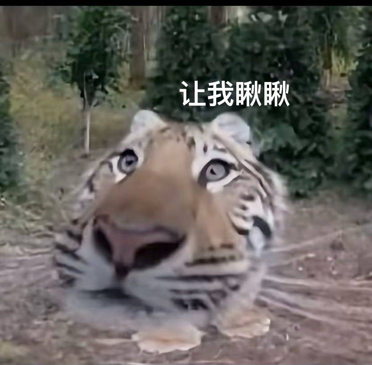 转租北京姚家园阳台驾到，通通闪开！