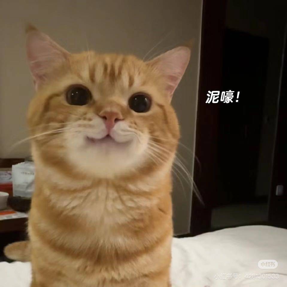 杨思鹅kiki拿自己