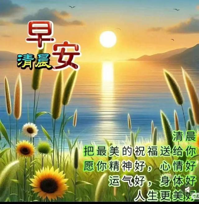 石頭哥