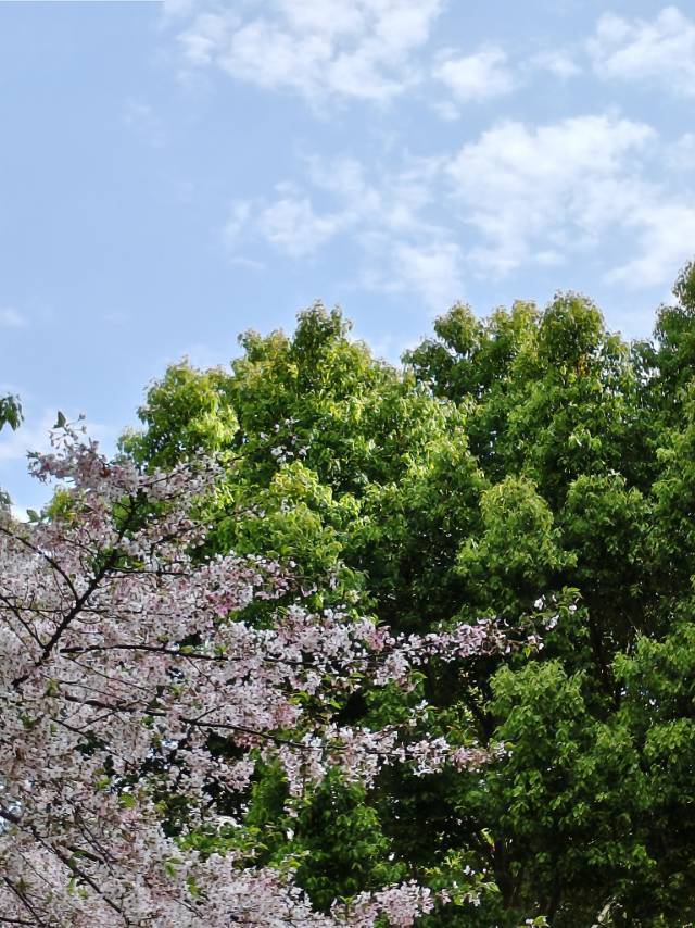 日子平淡，好在我喜欢