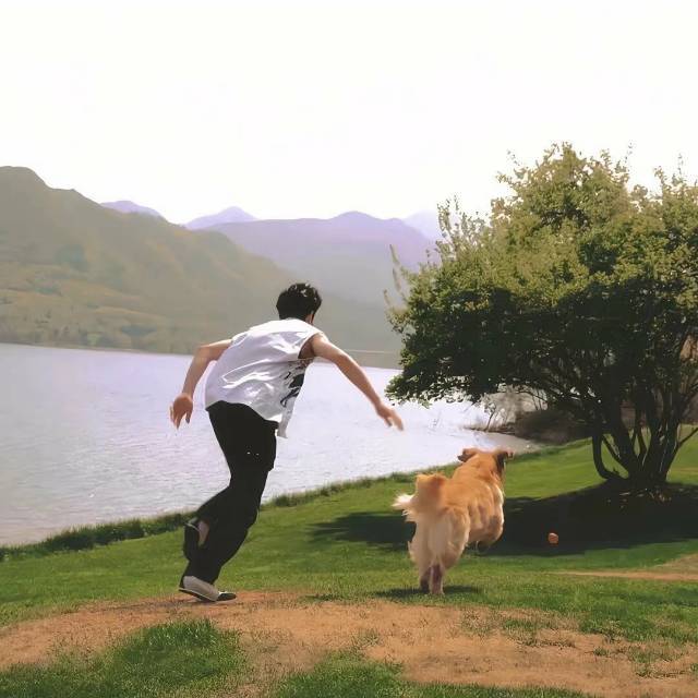 一只温文尔雅的狐狸