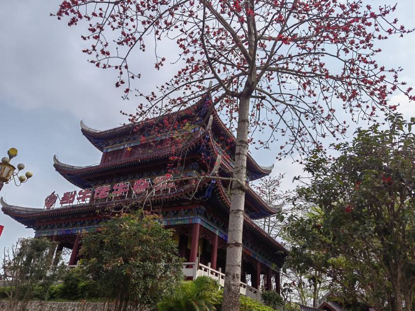 竹艺昕
