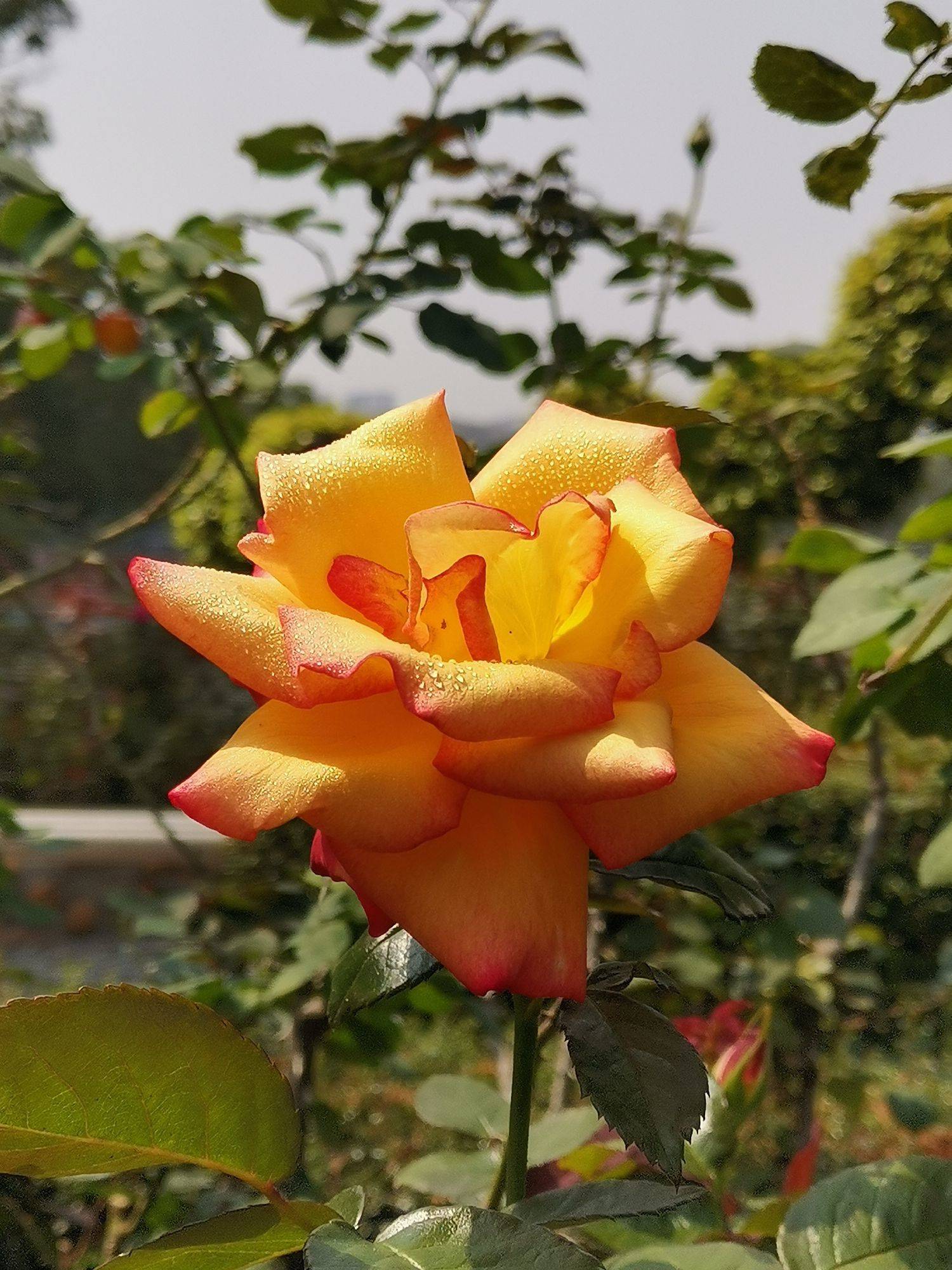 坠入生活的慢节奏