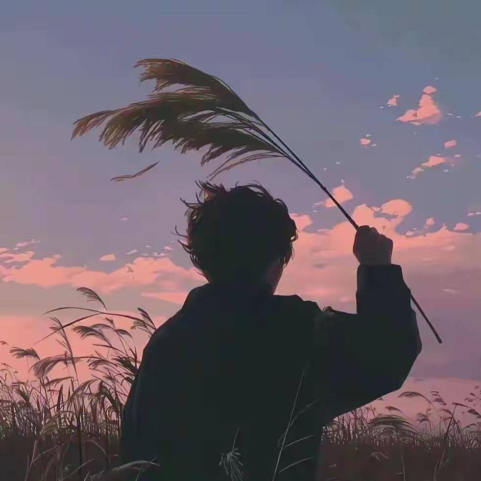 豆豆