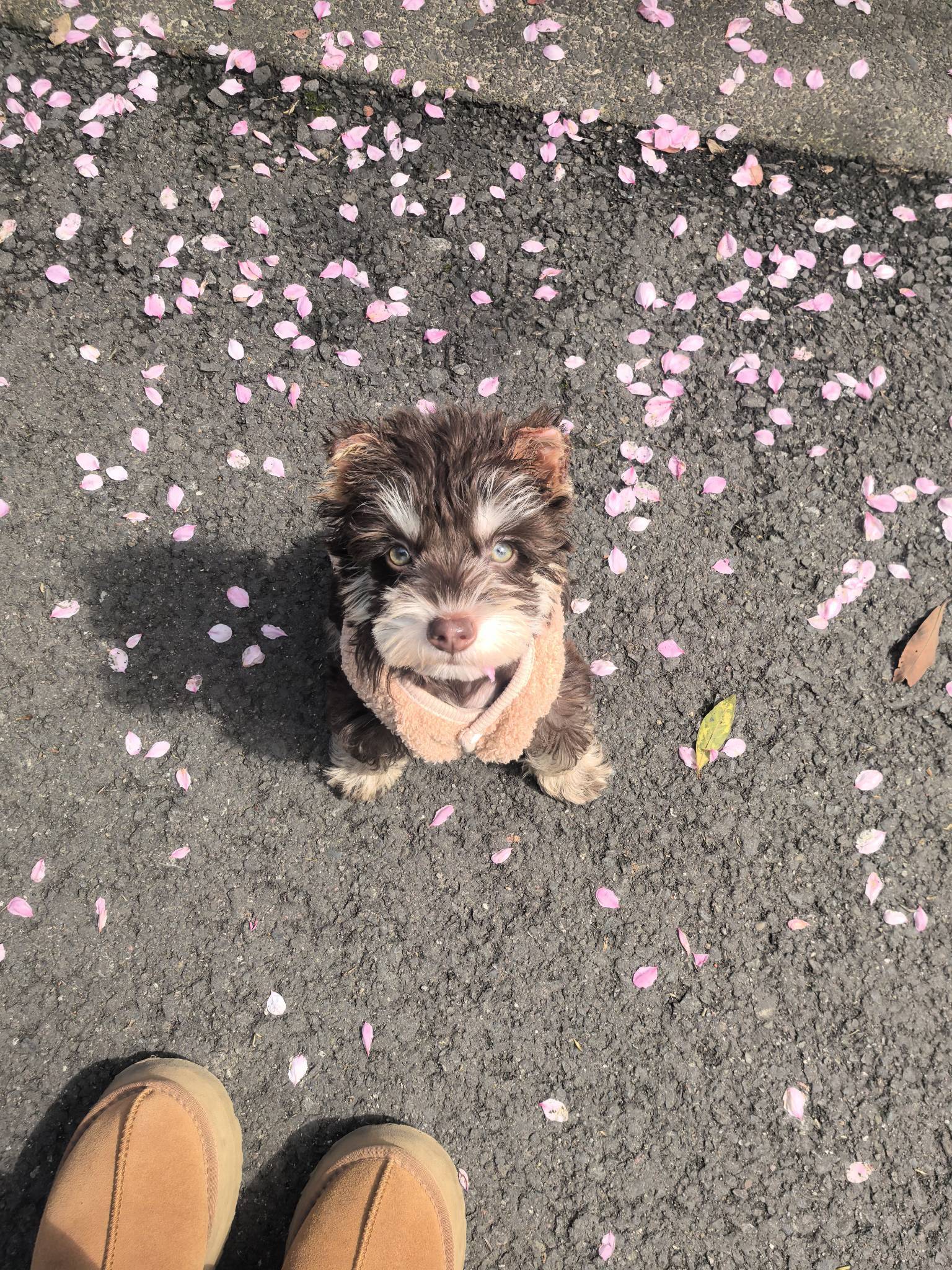 🥰🥰