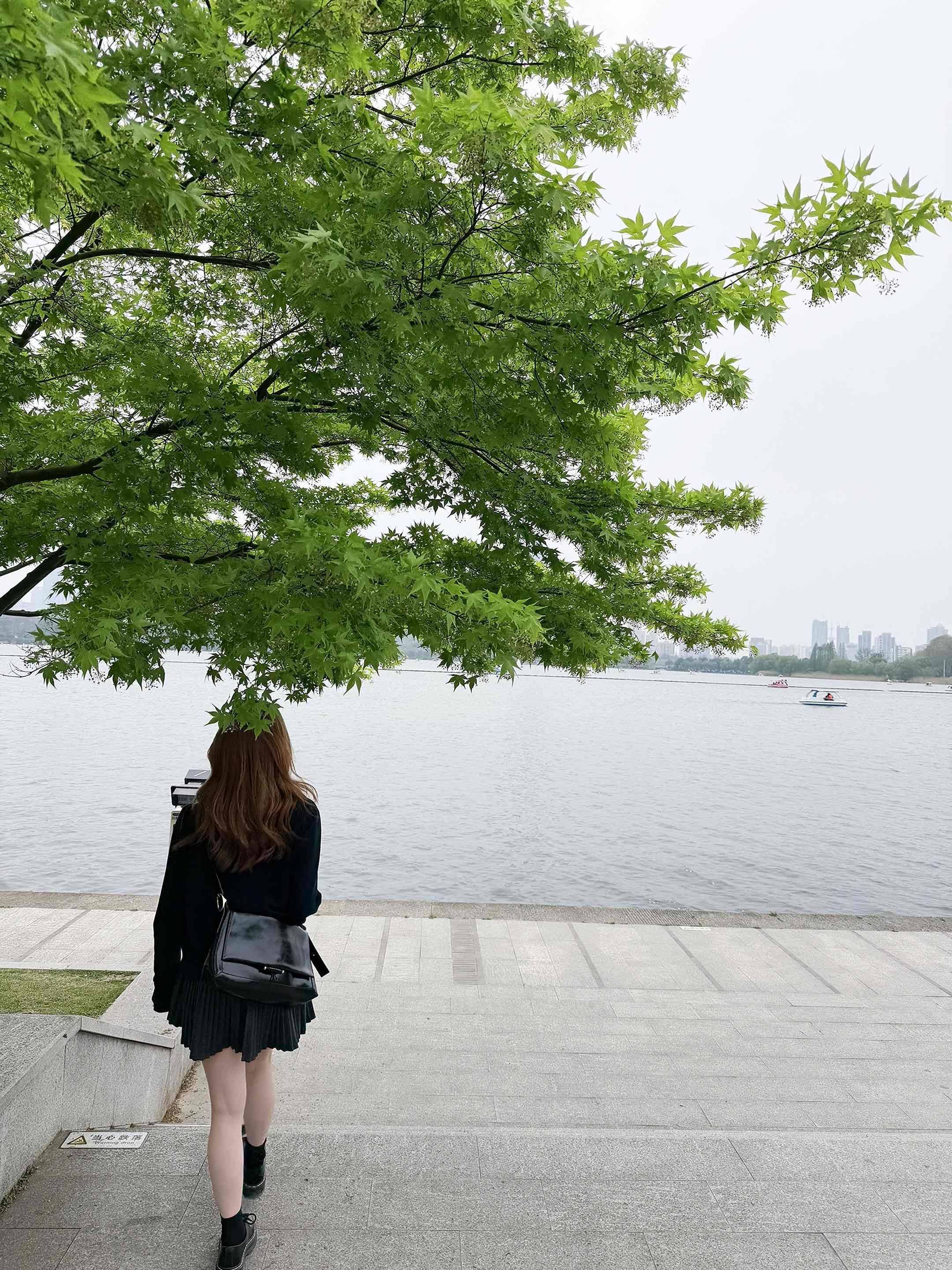 牛马要努力变强