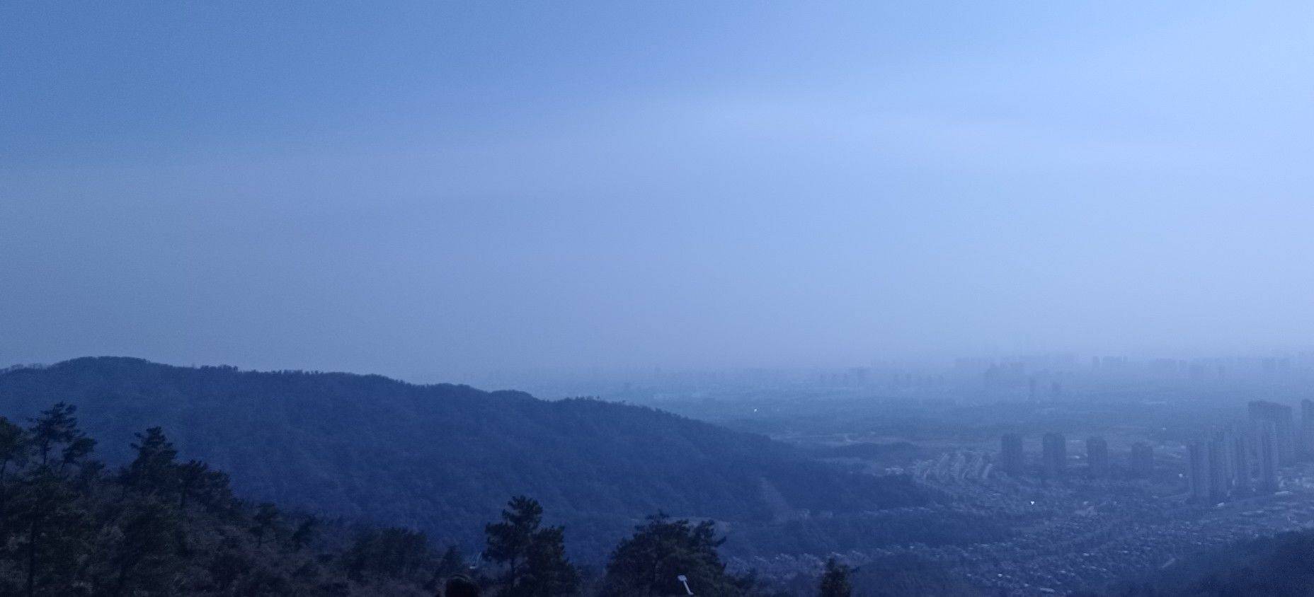 青青草