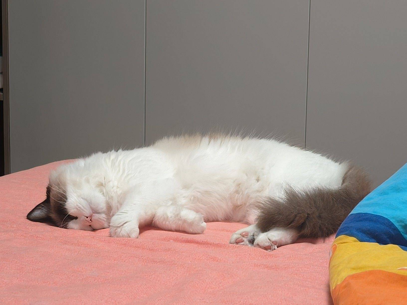 一切都是最好的安排