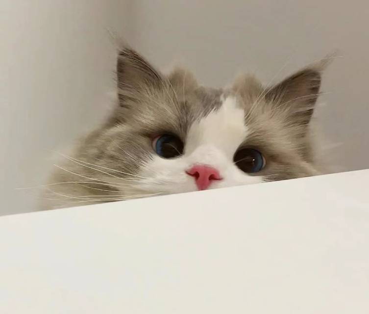 突突