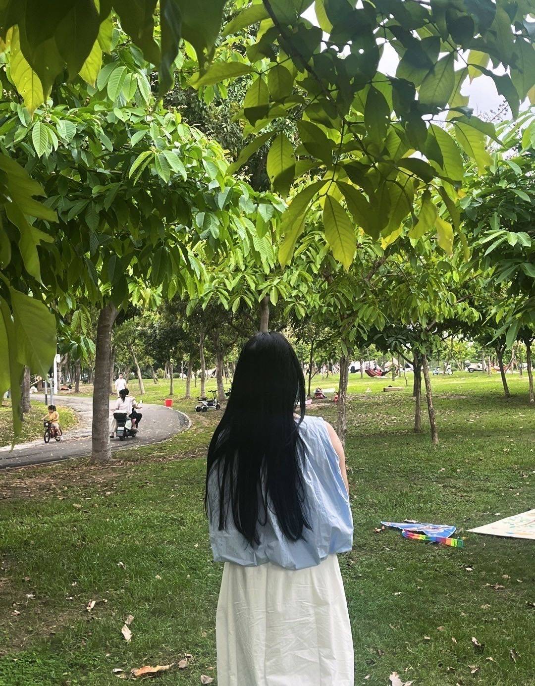 让我转出去吧
