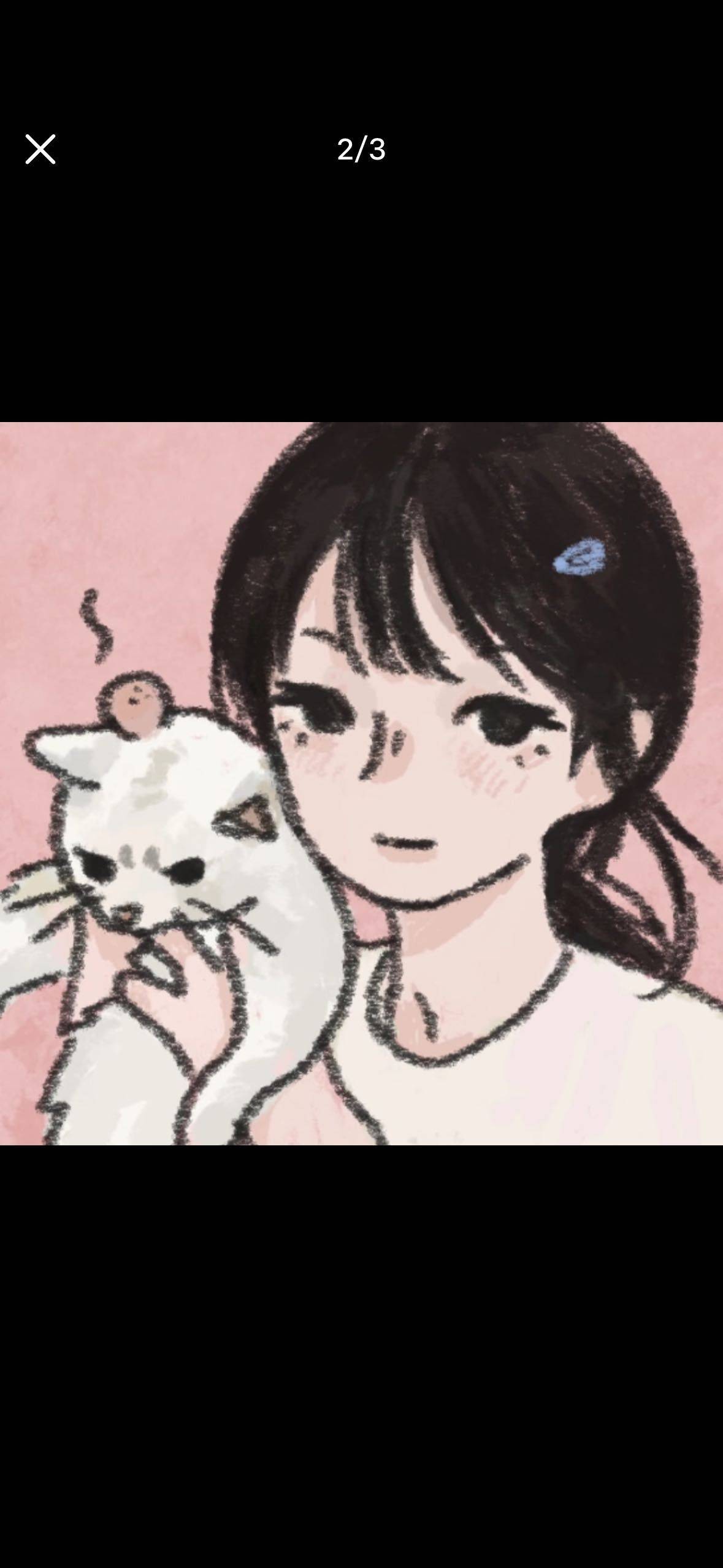 Zy
