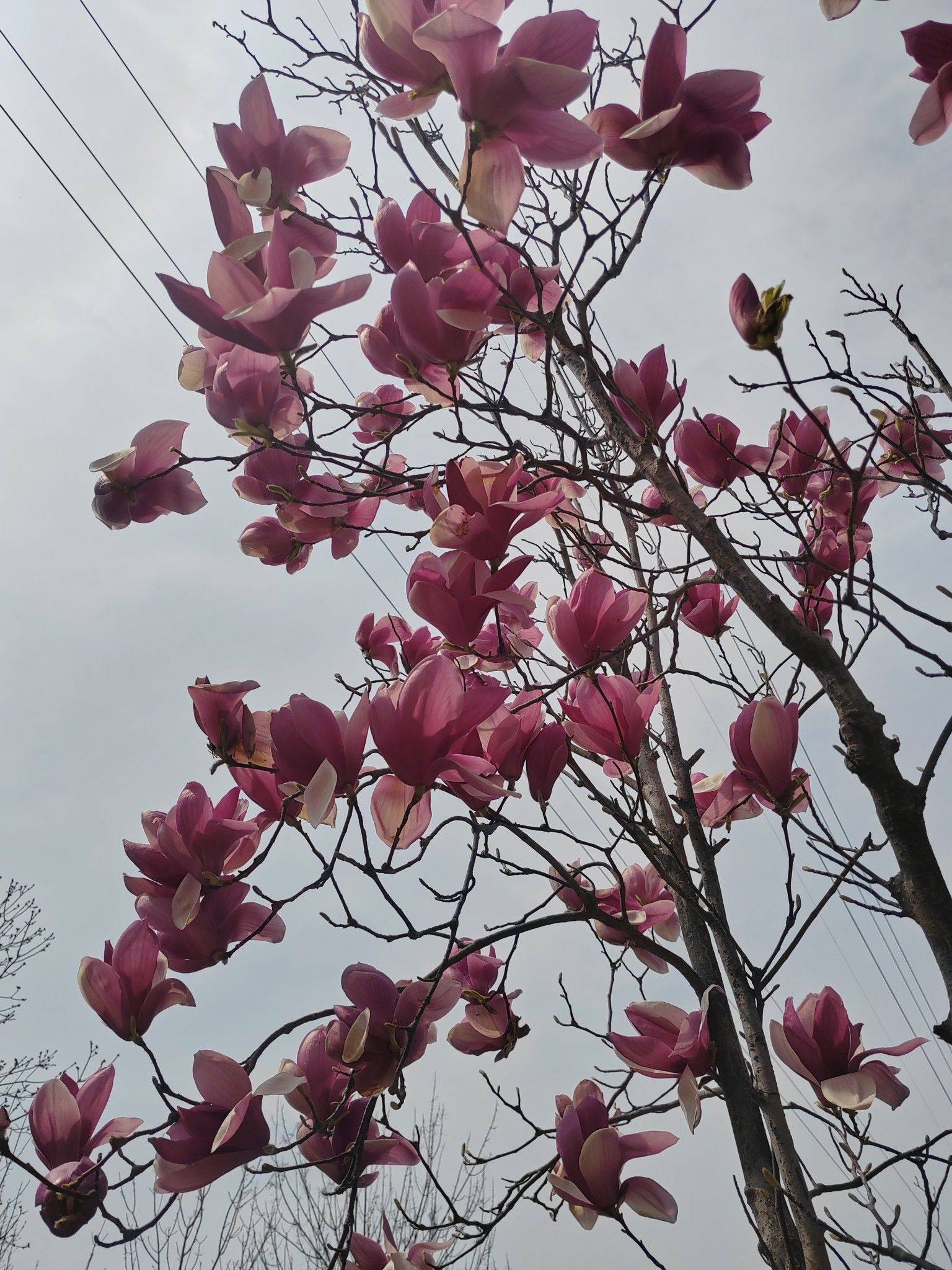 有有没有没有有没有切