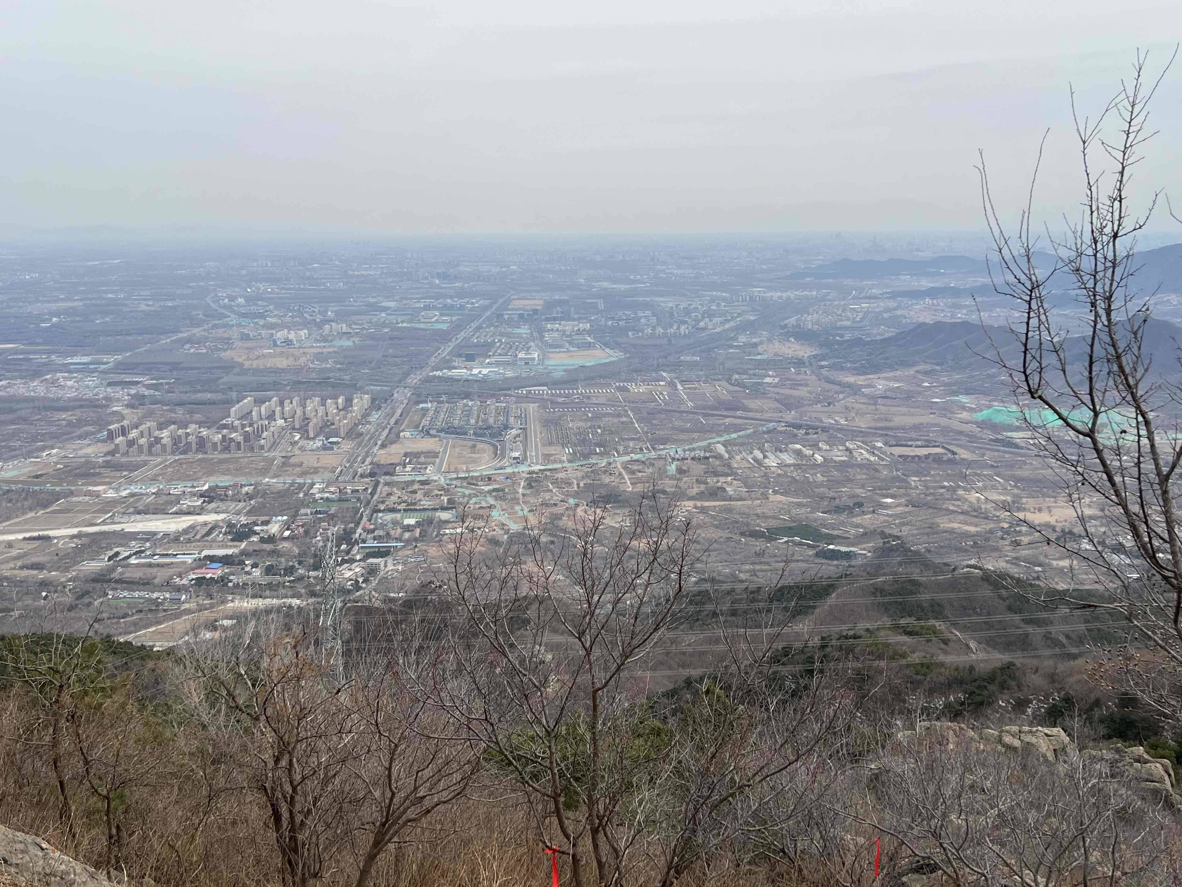 阳爸