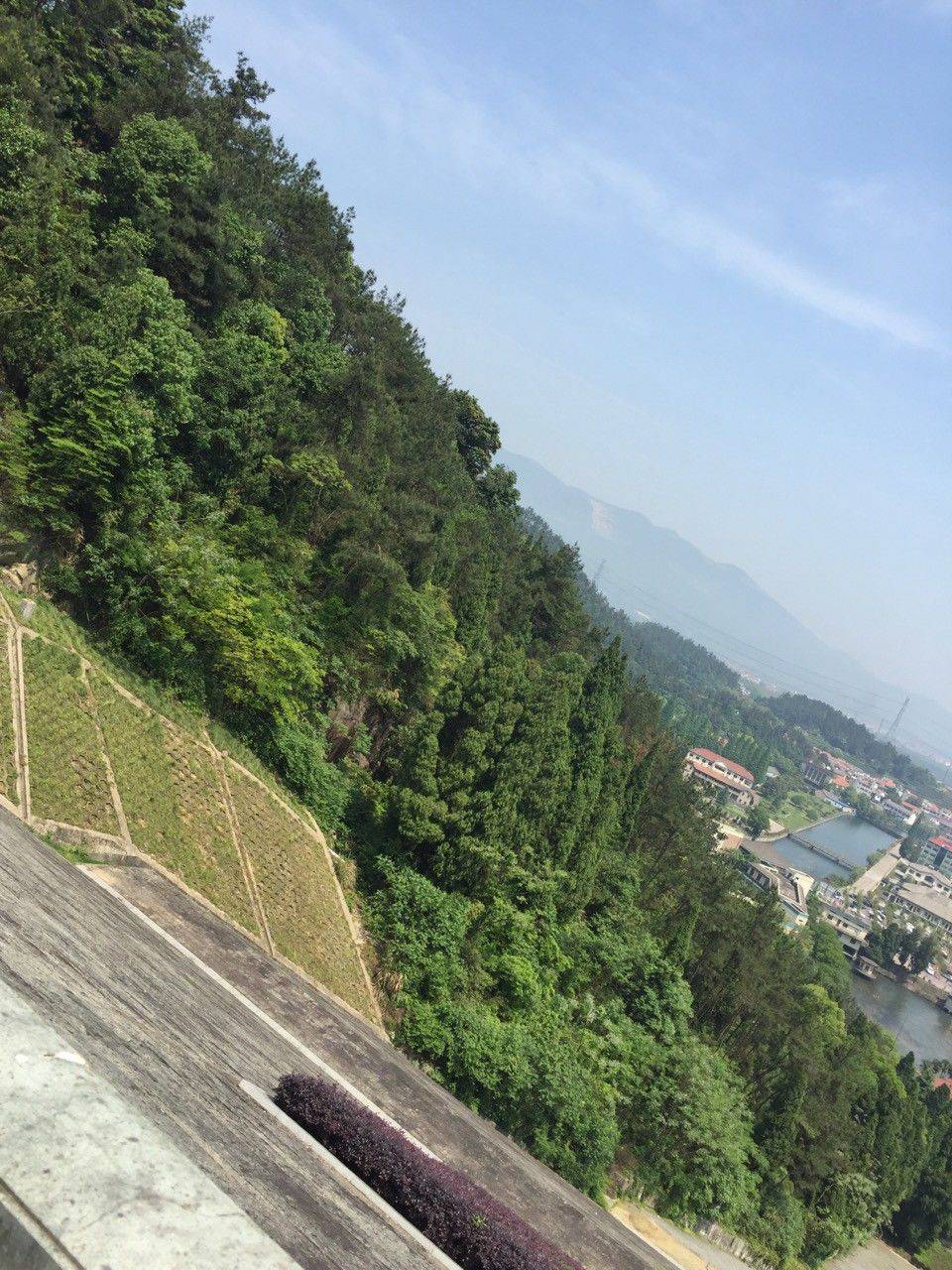 老马