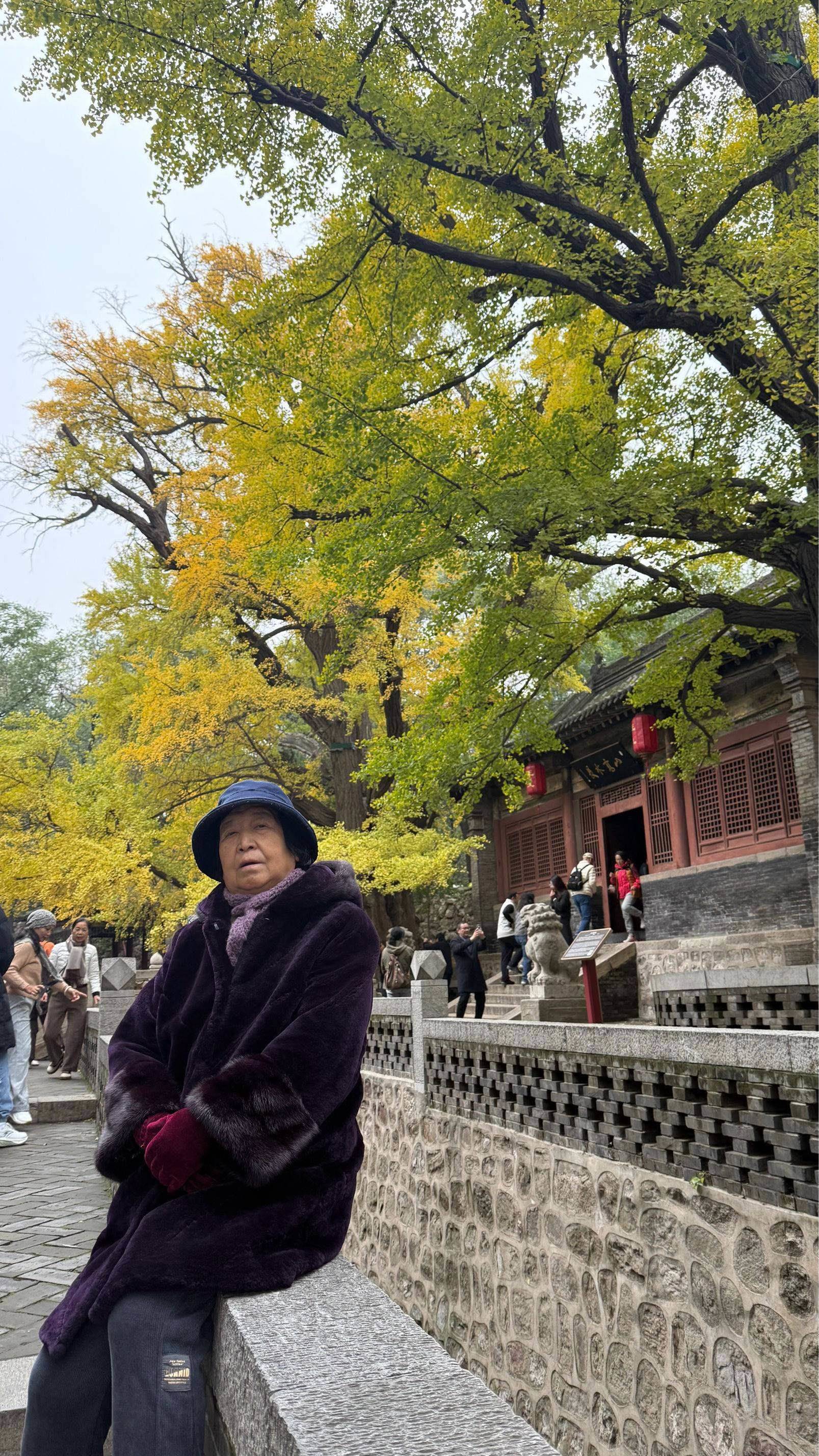 life_photo_0