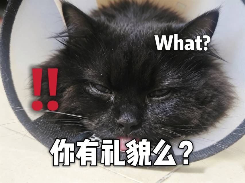 早点出租.