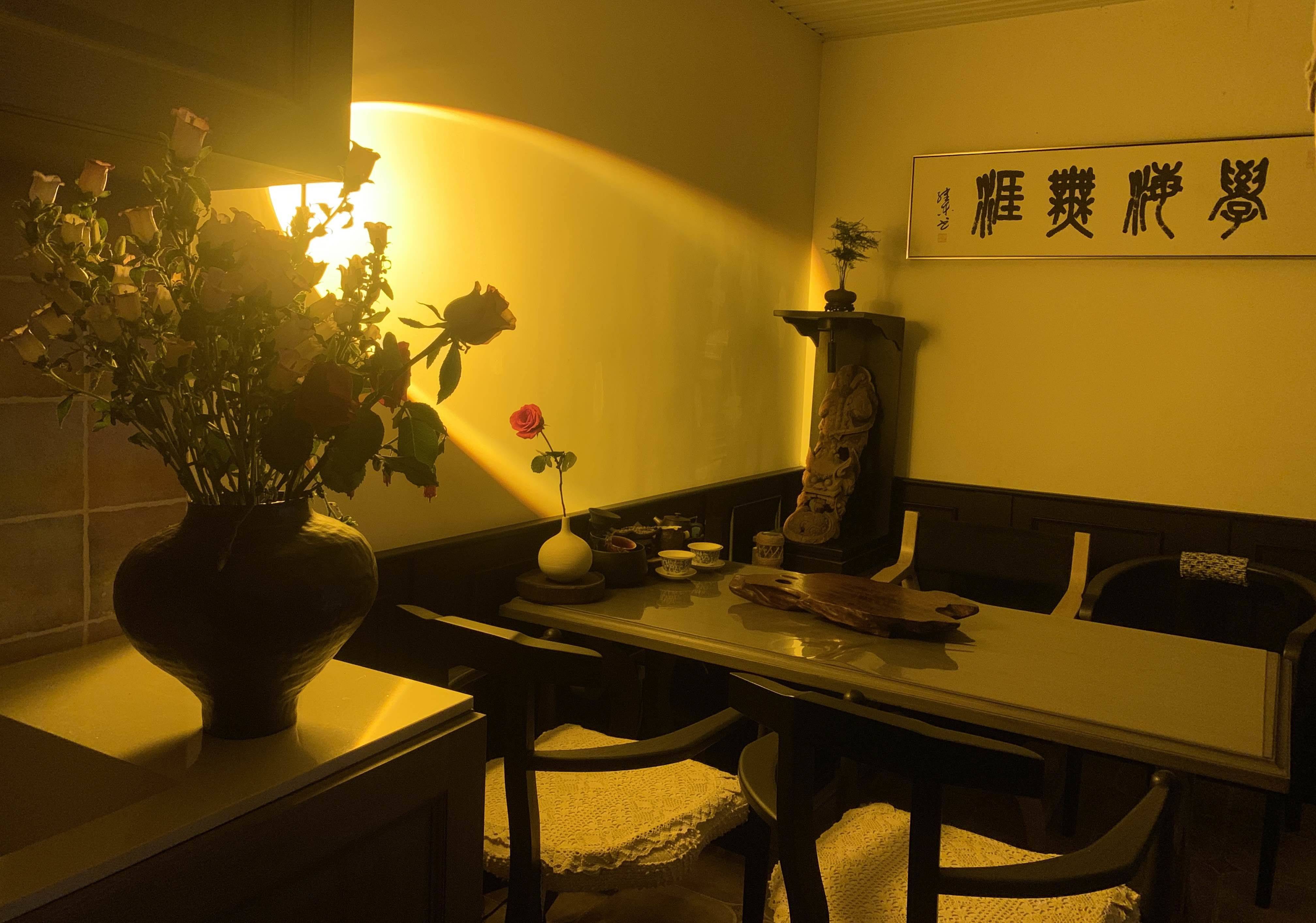 雪儿
