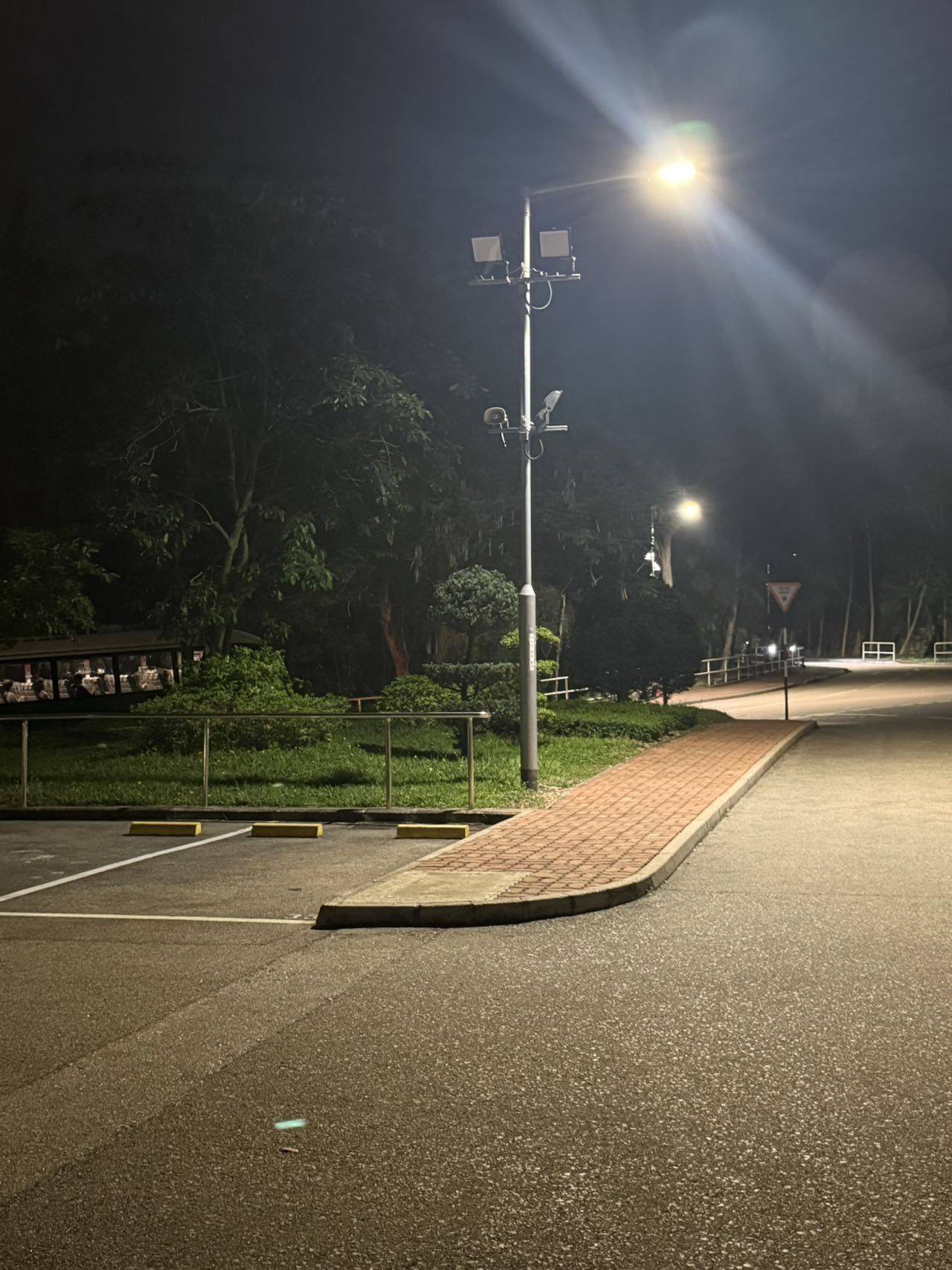江知