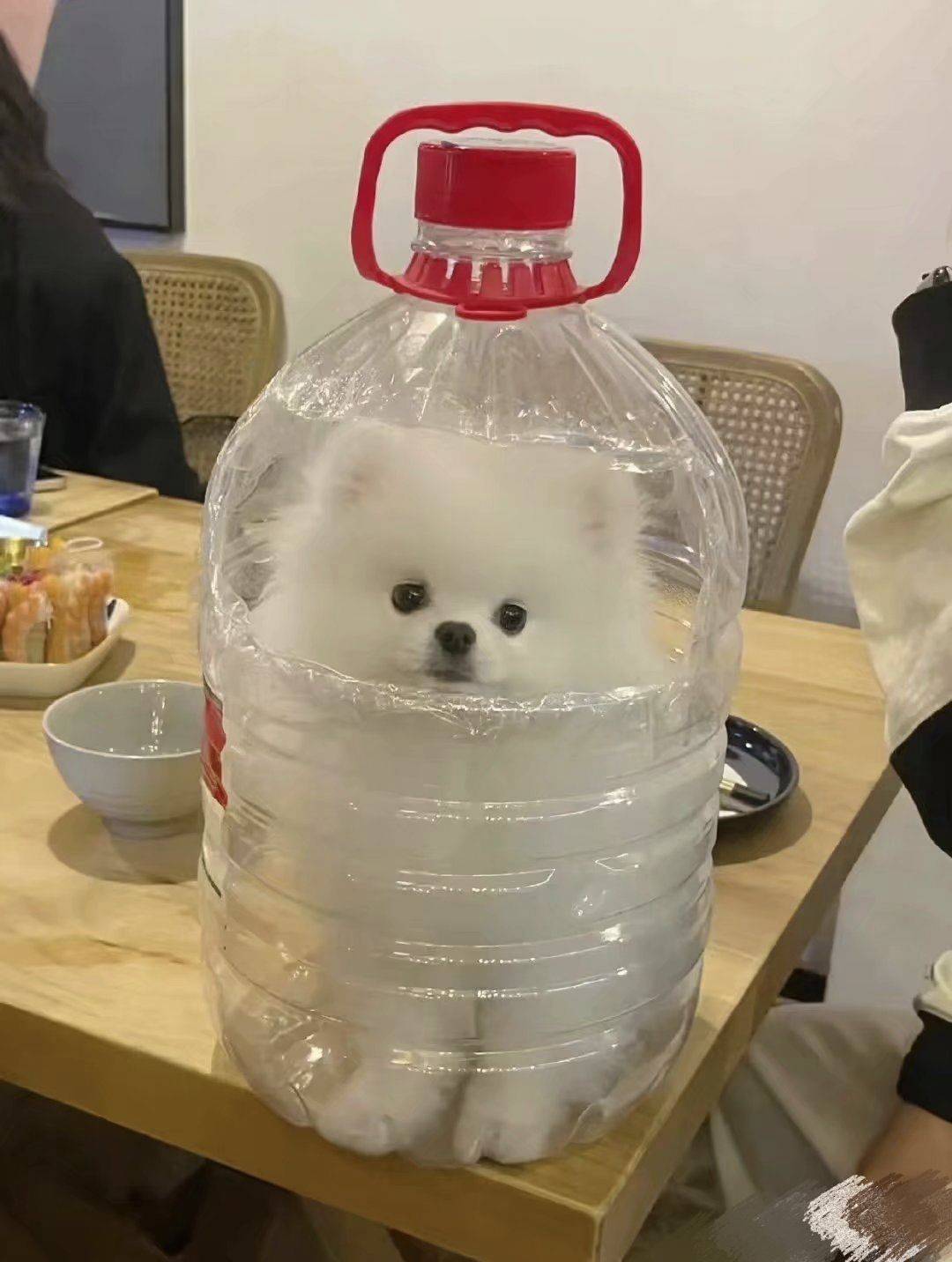 代糖