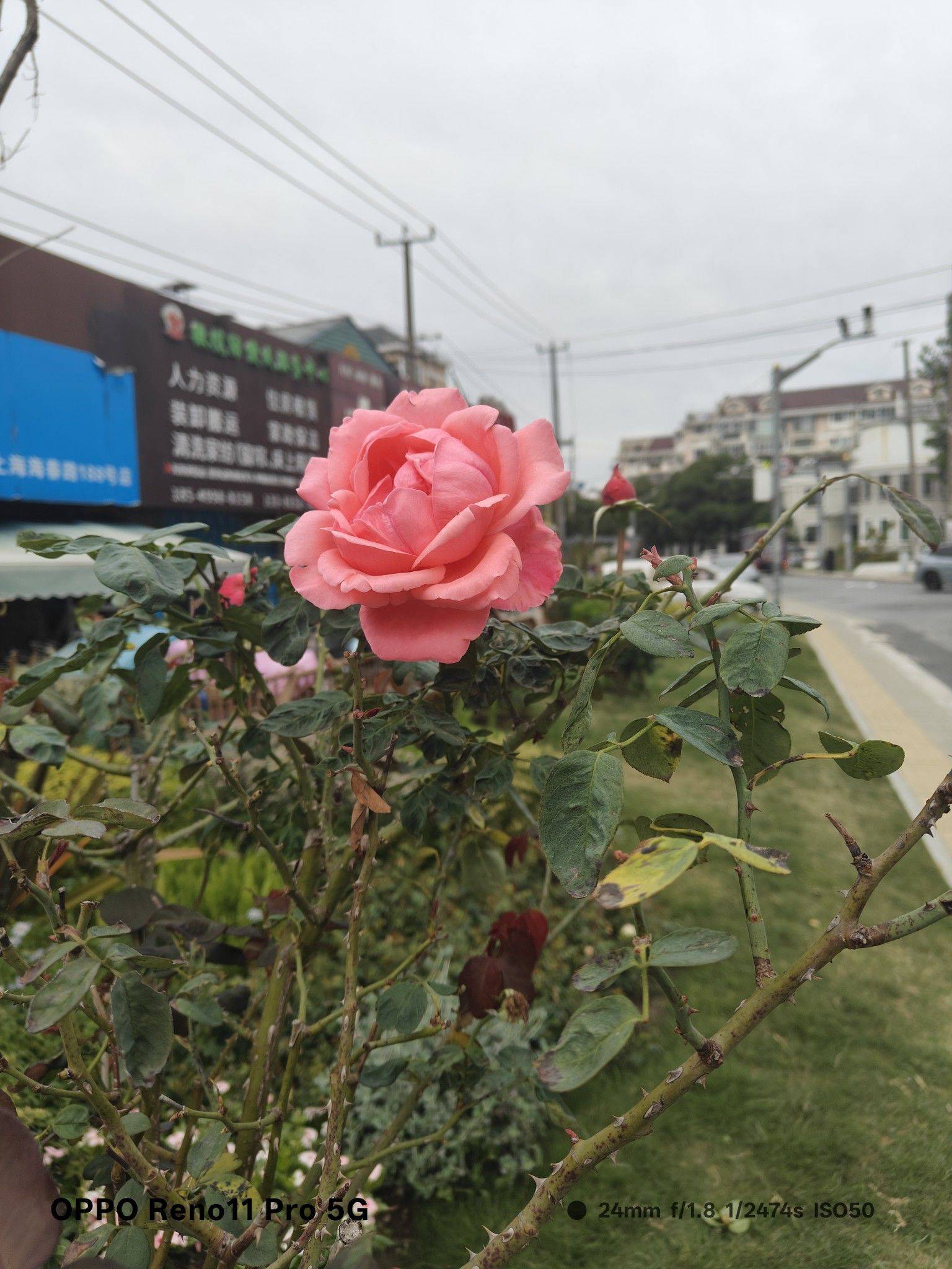 见面的方式有很多种