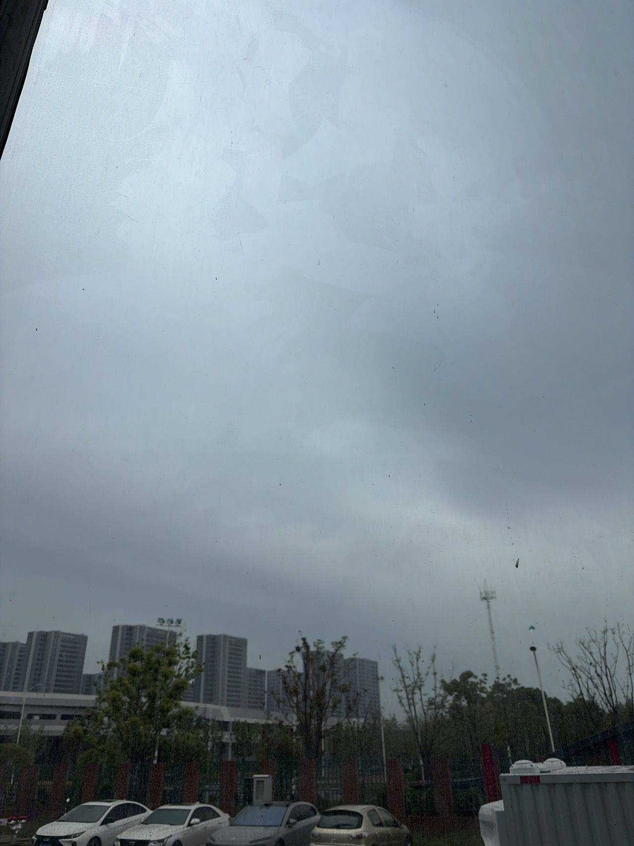 你猜