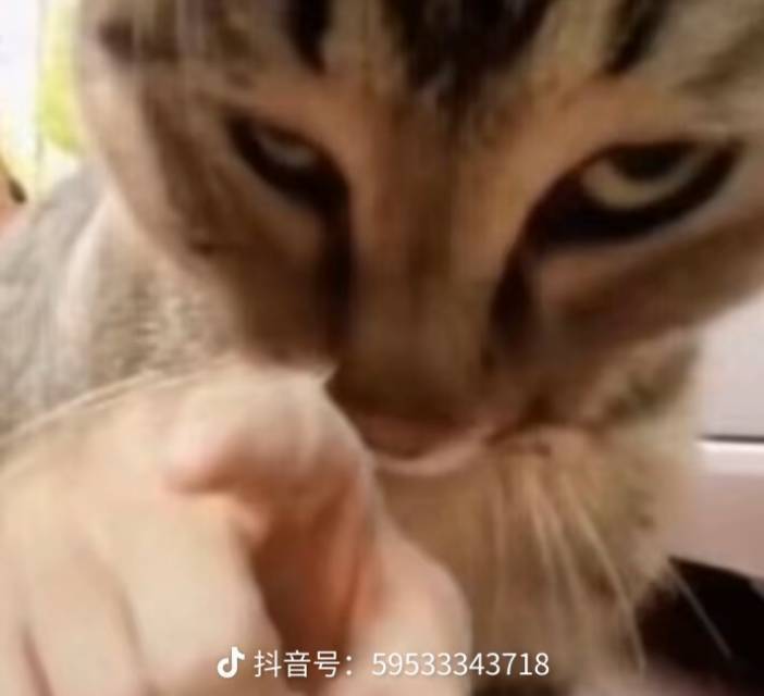 kk