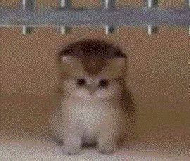 7777