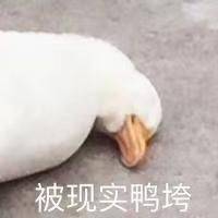 蛋黄派