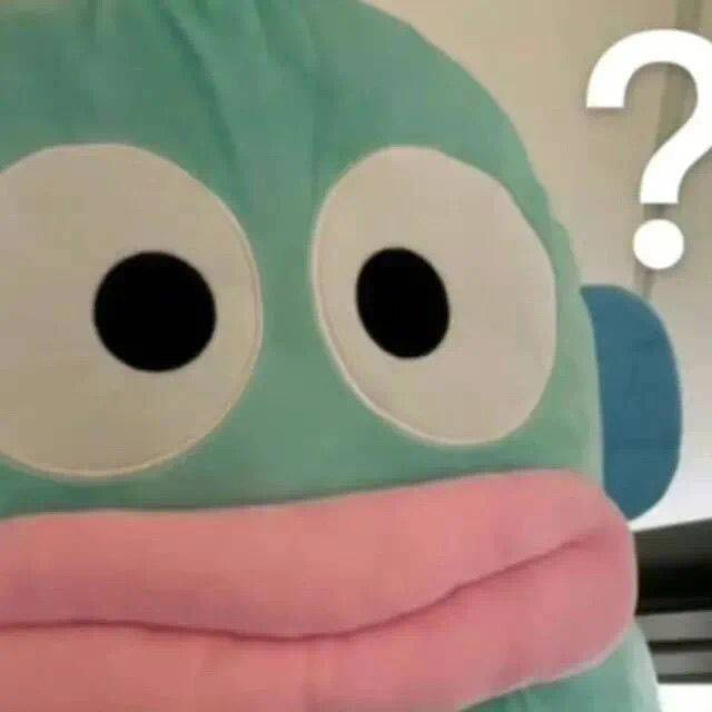 张小主
