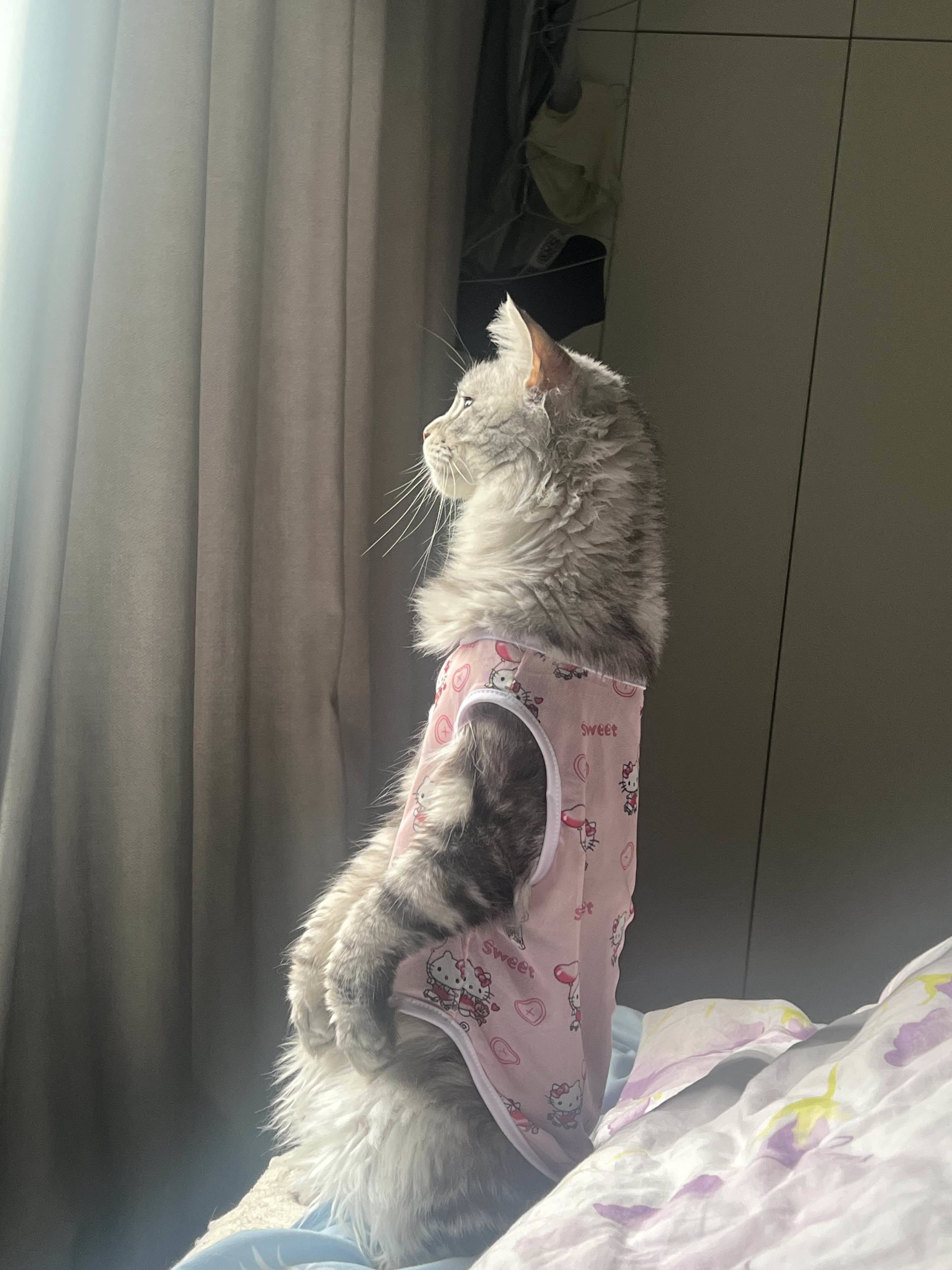 嗯嗯