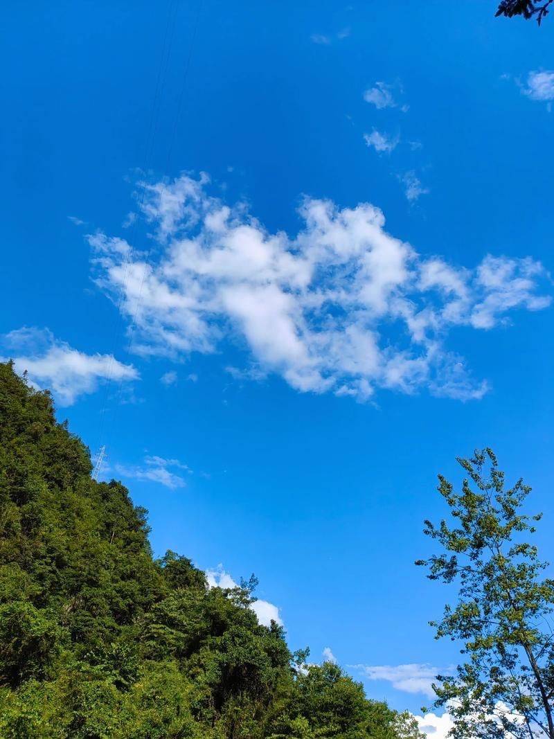 房东直租（🈚中介费）