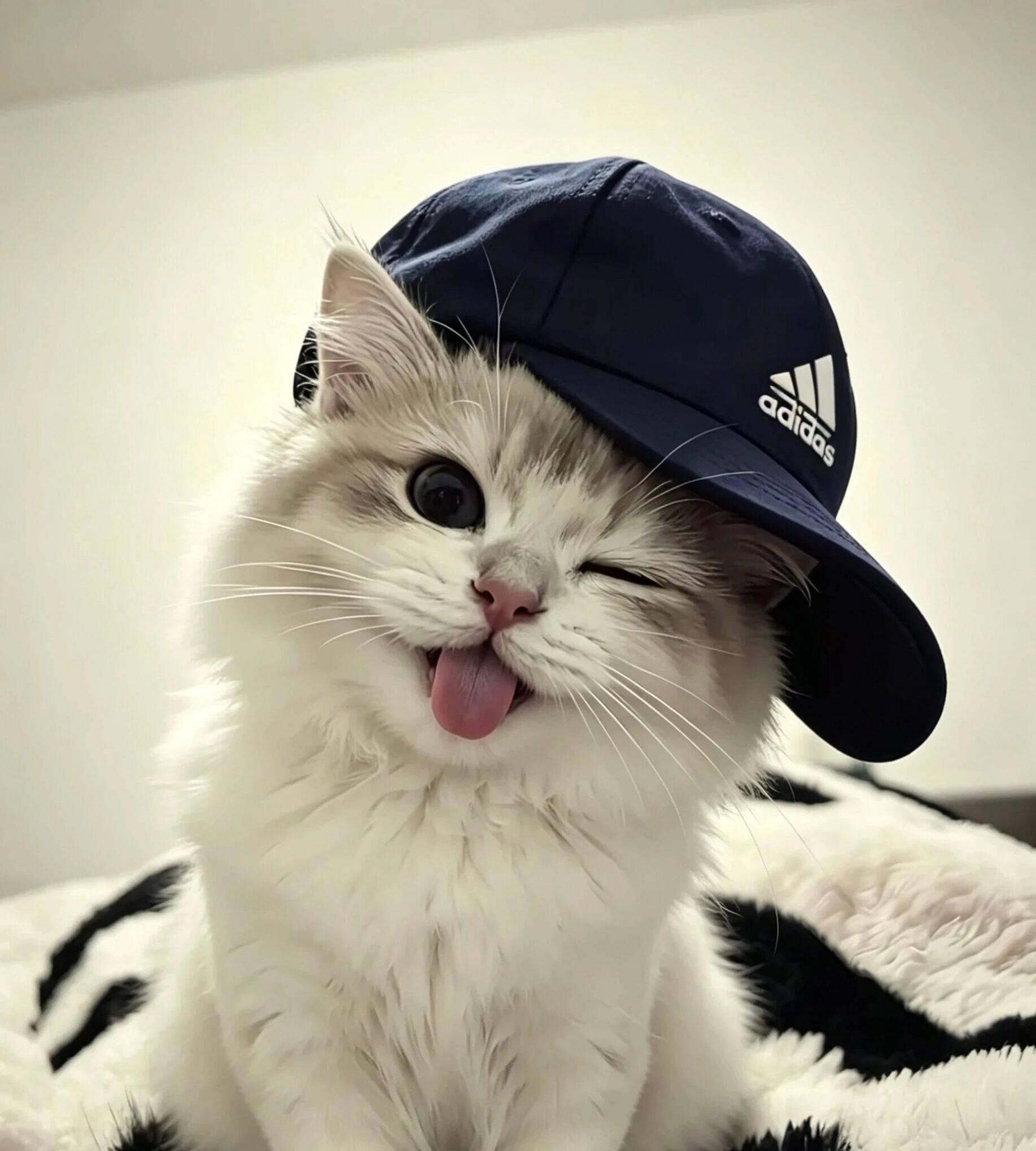 一周困⁸天 💕💕💕💕