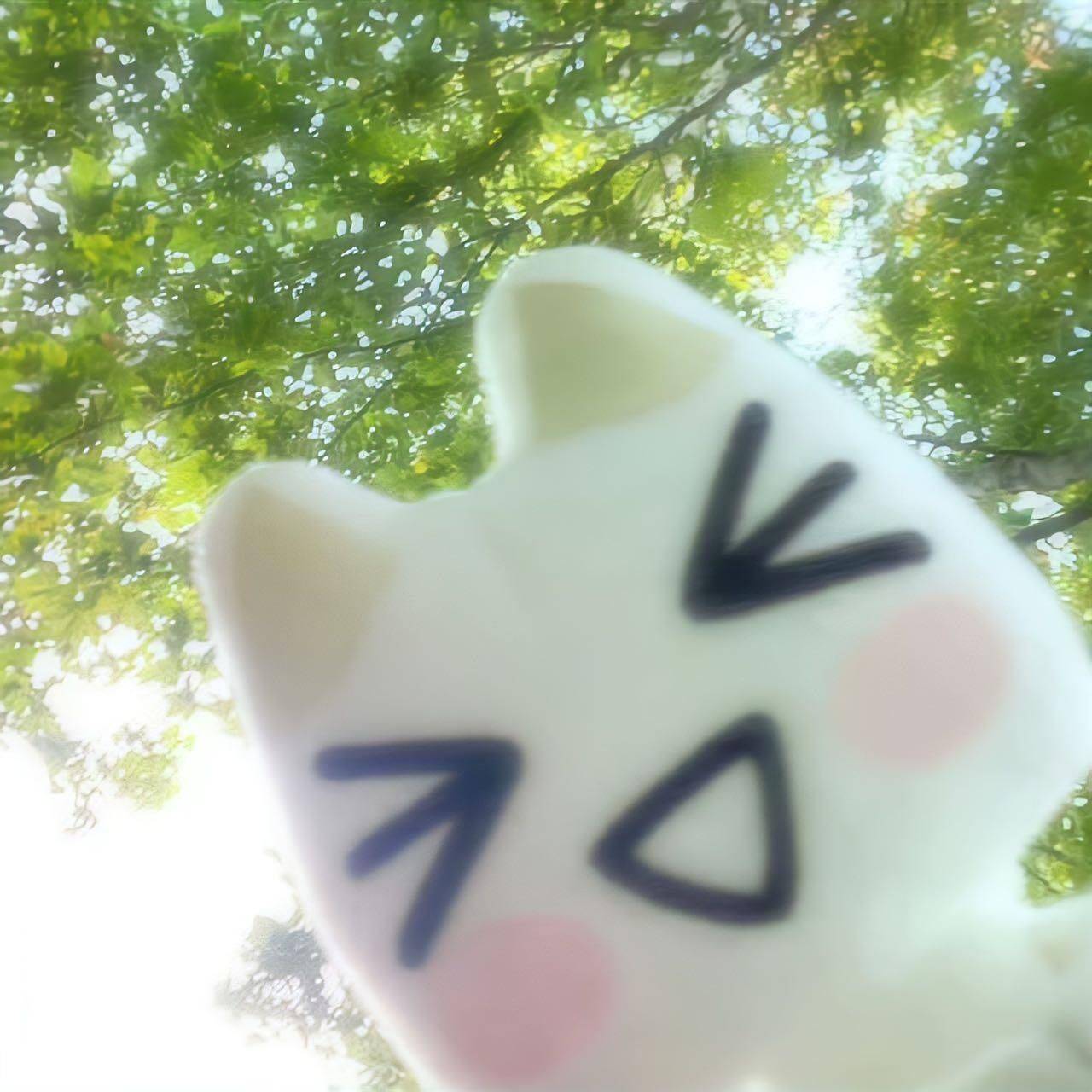 坑我一辈子发不了财