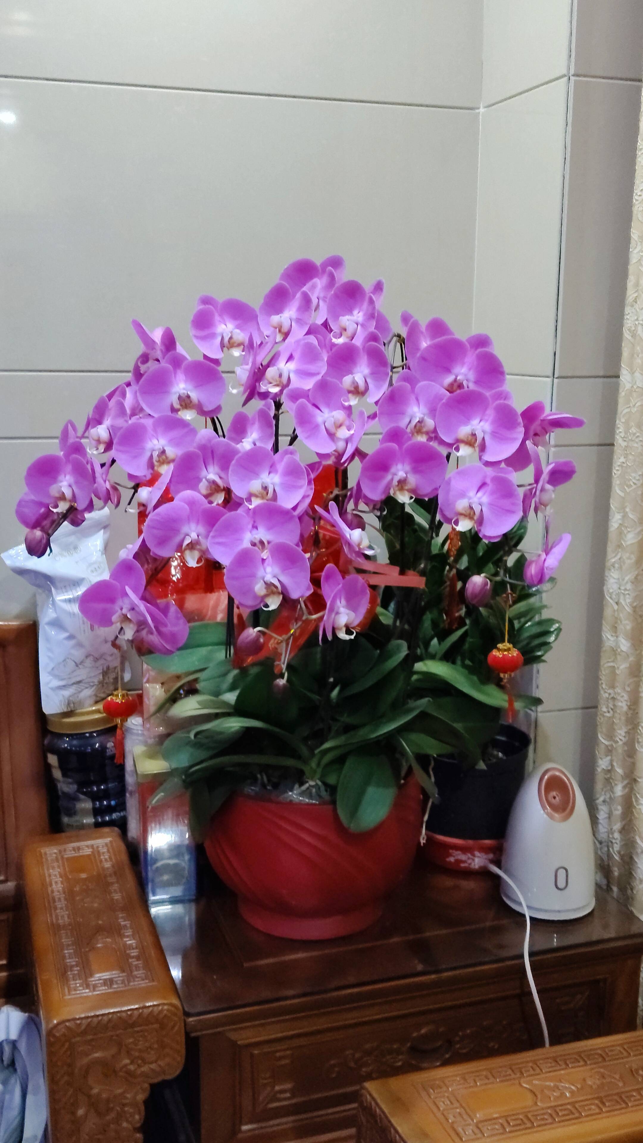 朝阳