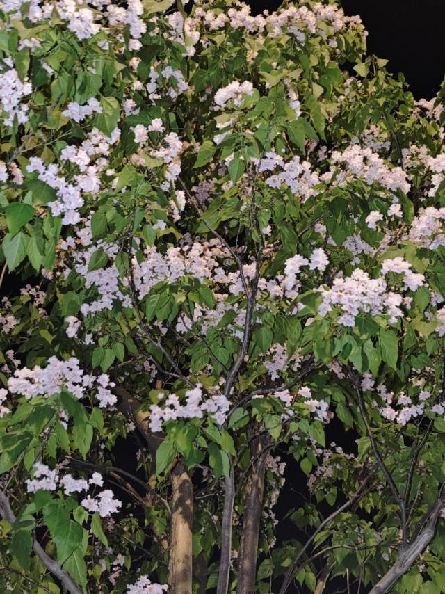 早睡晚起身体好