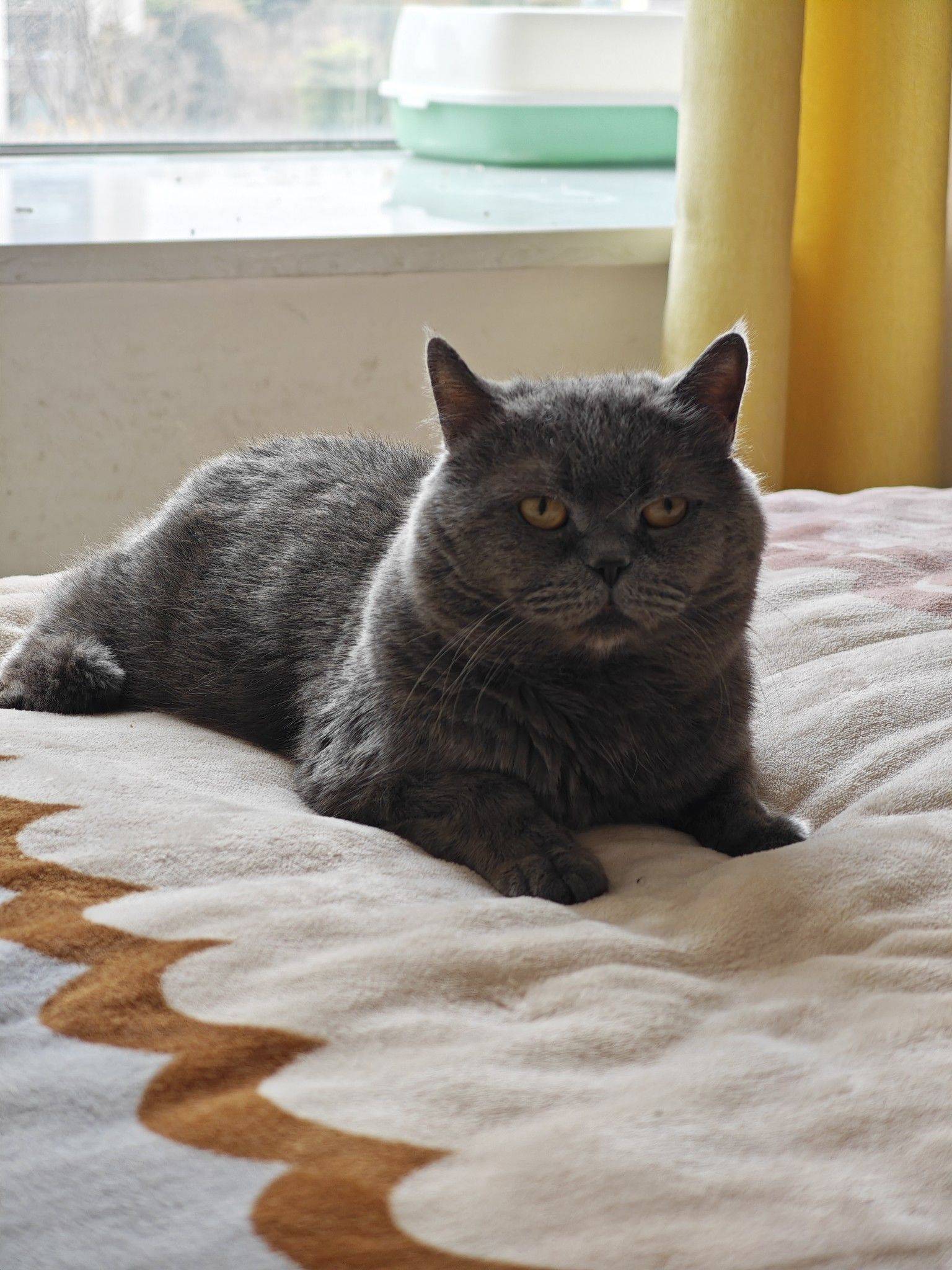 polly的橘子味汽水