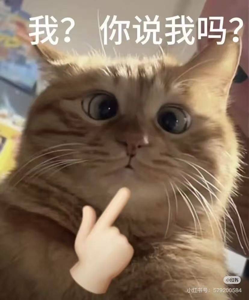 小张不慌张