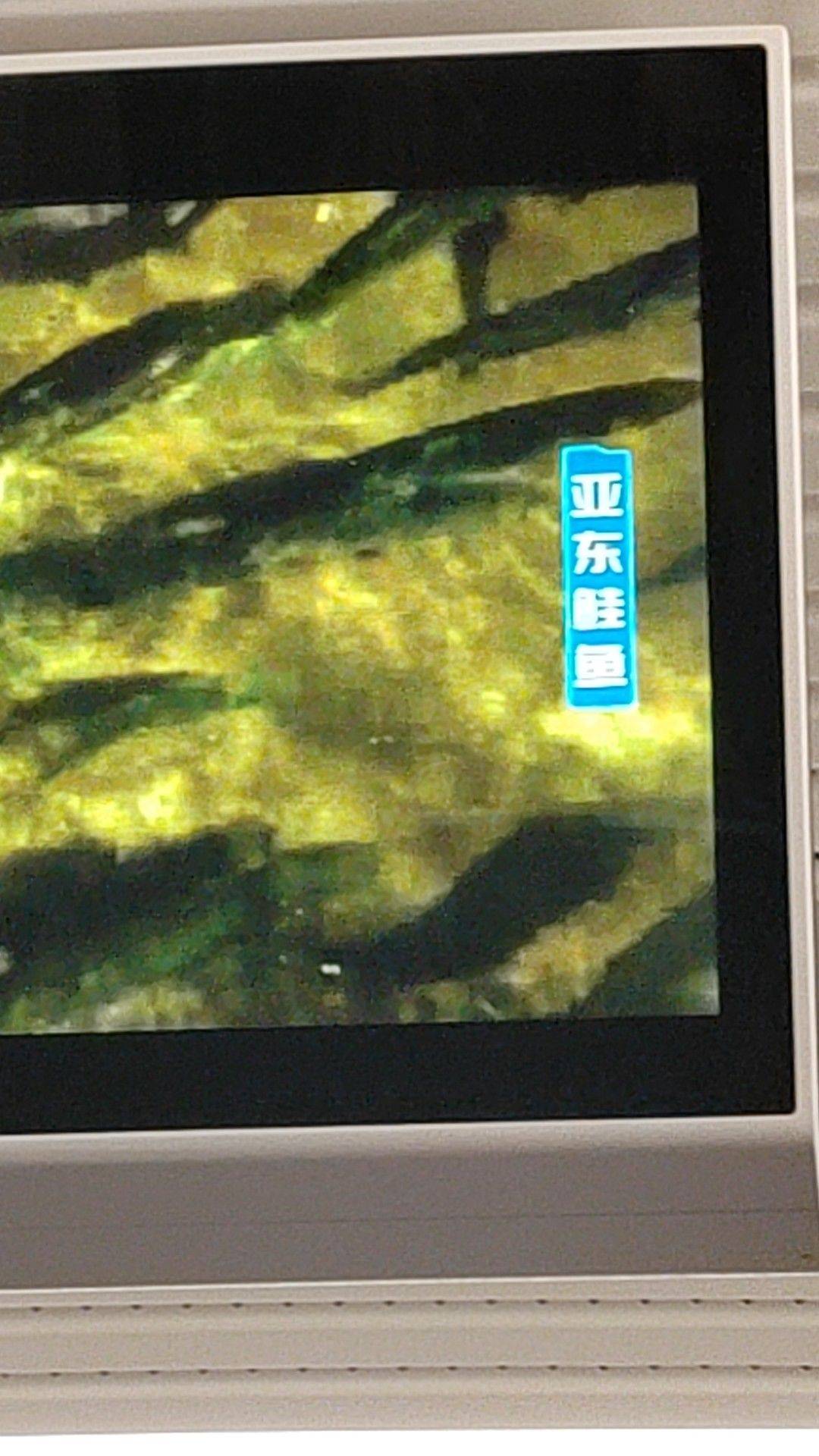 住
