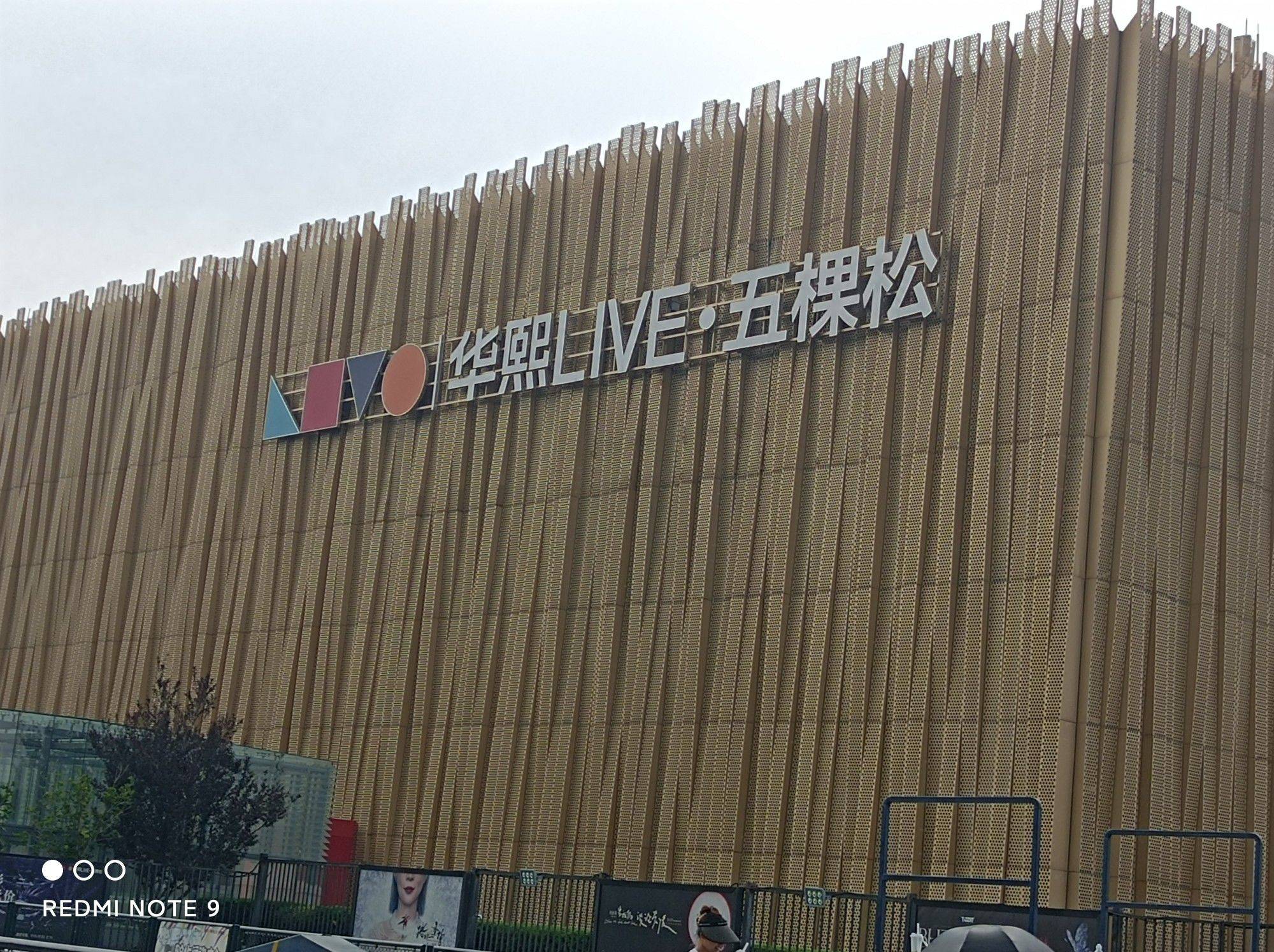 静沐暖阳