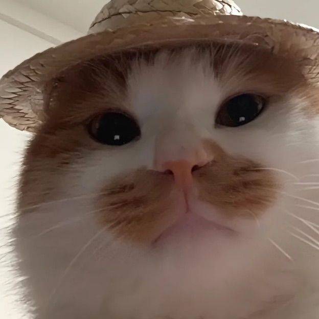 233
