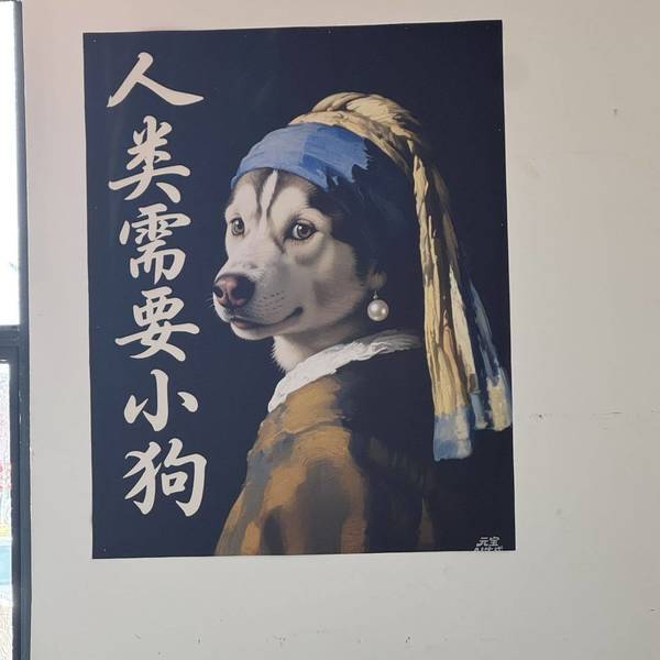 有只小柴叫nature
