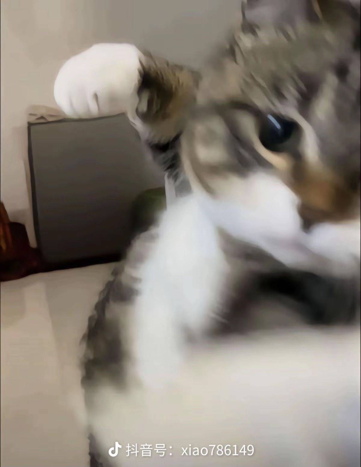 诺