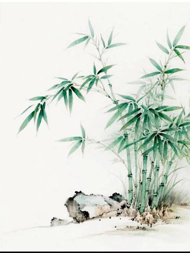 竹