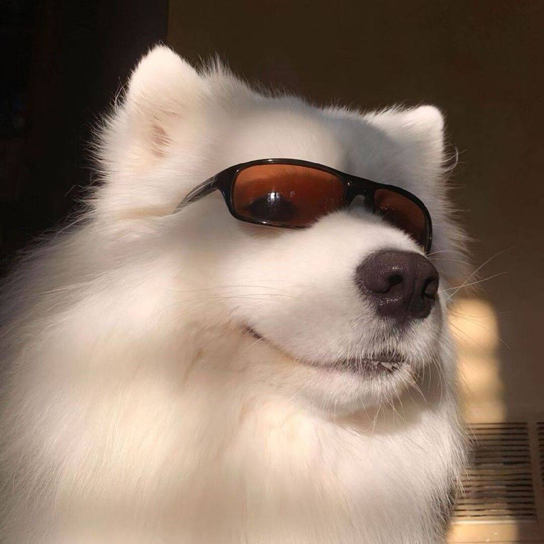 zz