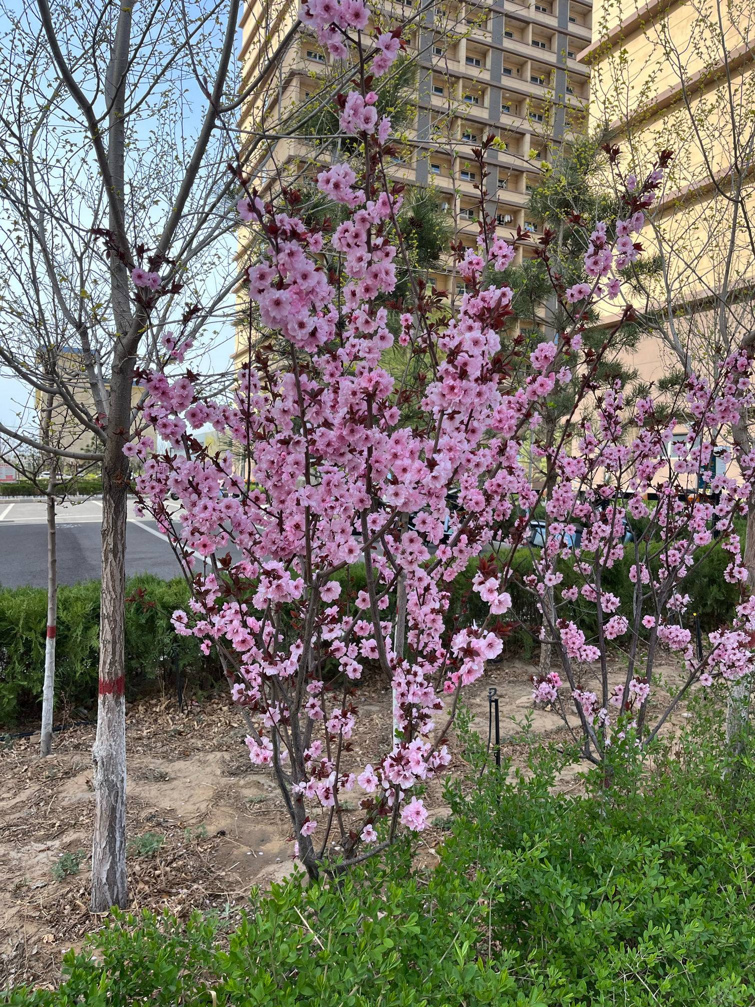 好说好量
