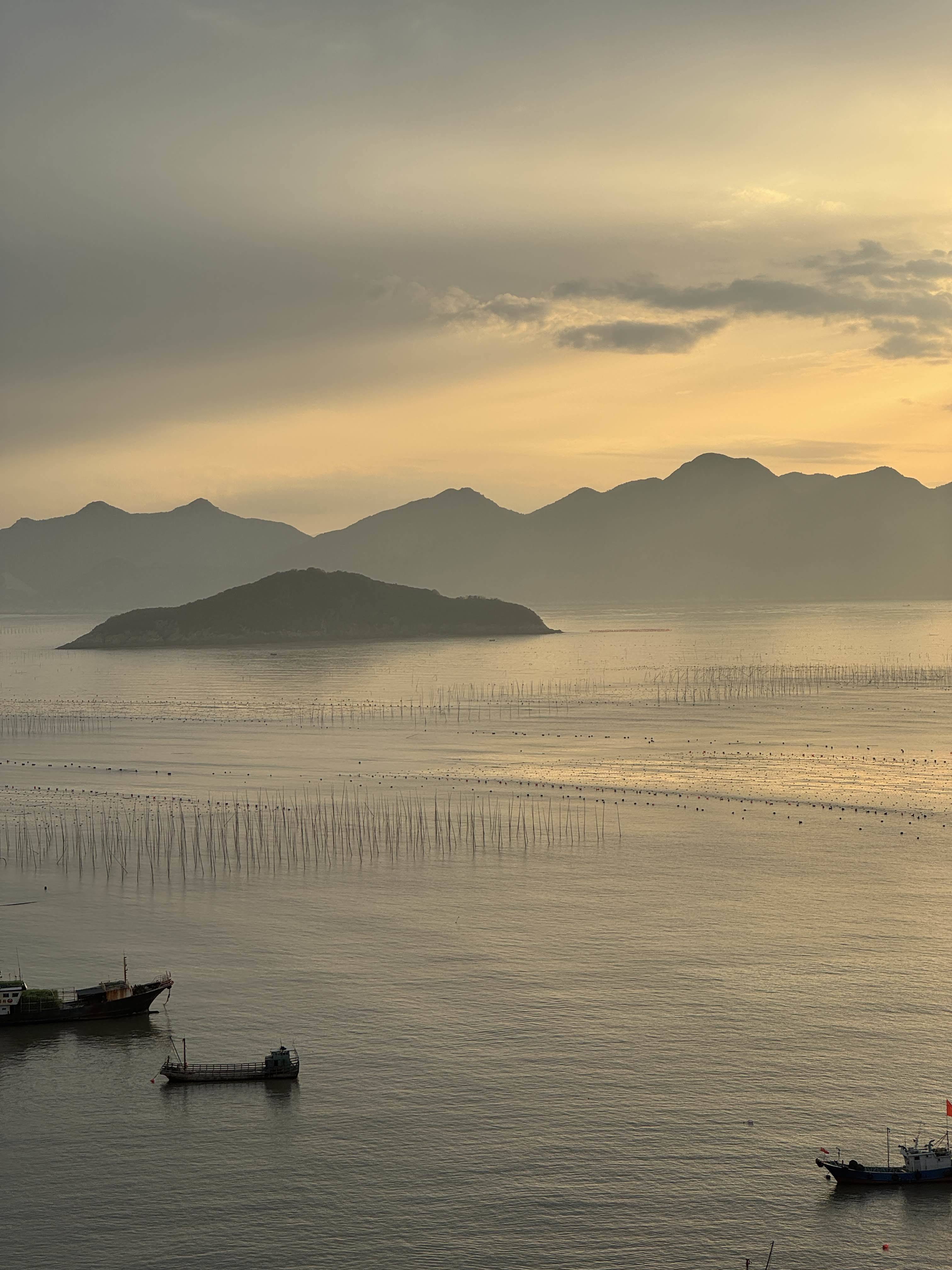坦坦荡荡