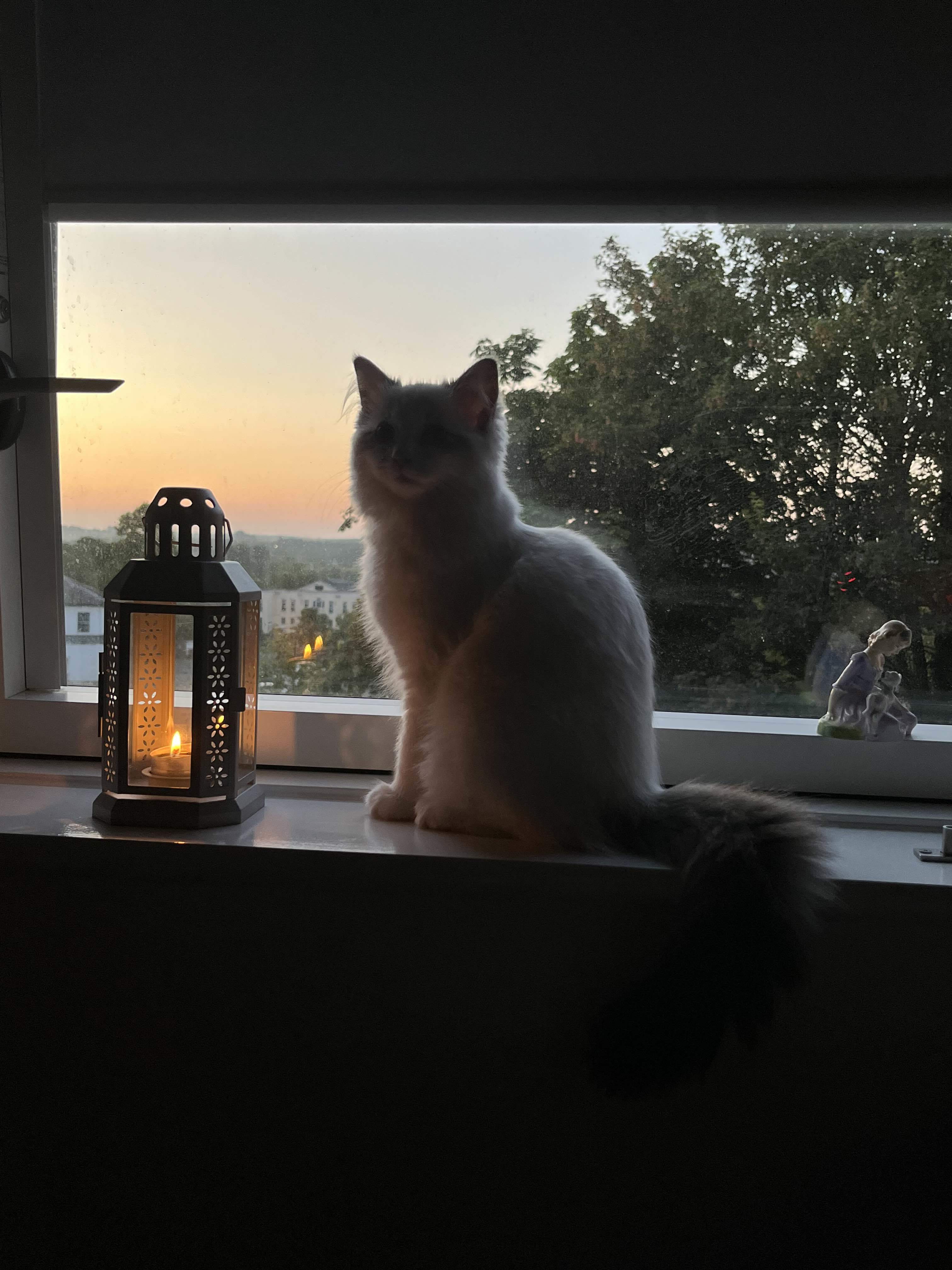 life_photo_2
