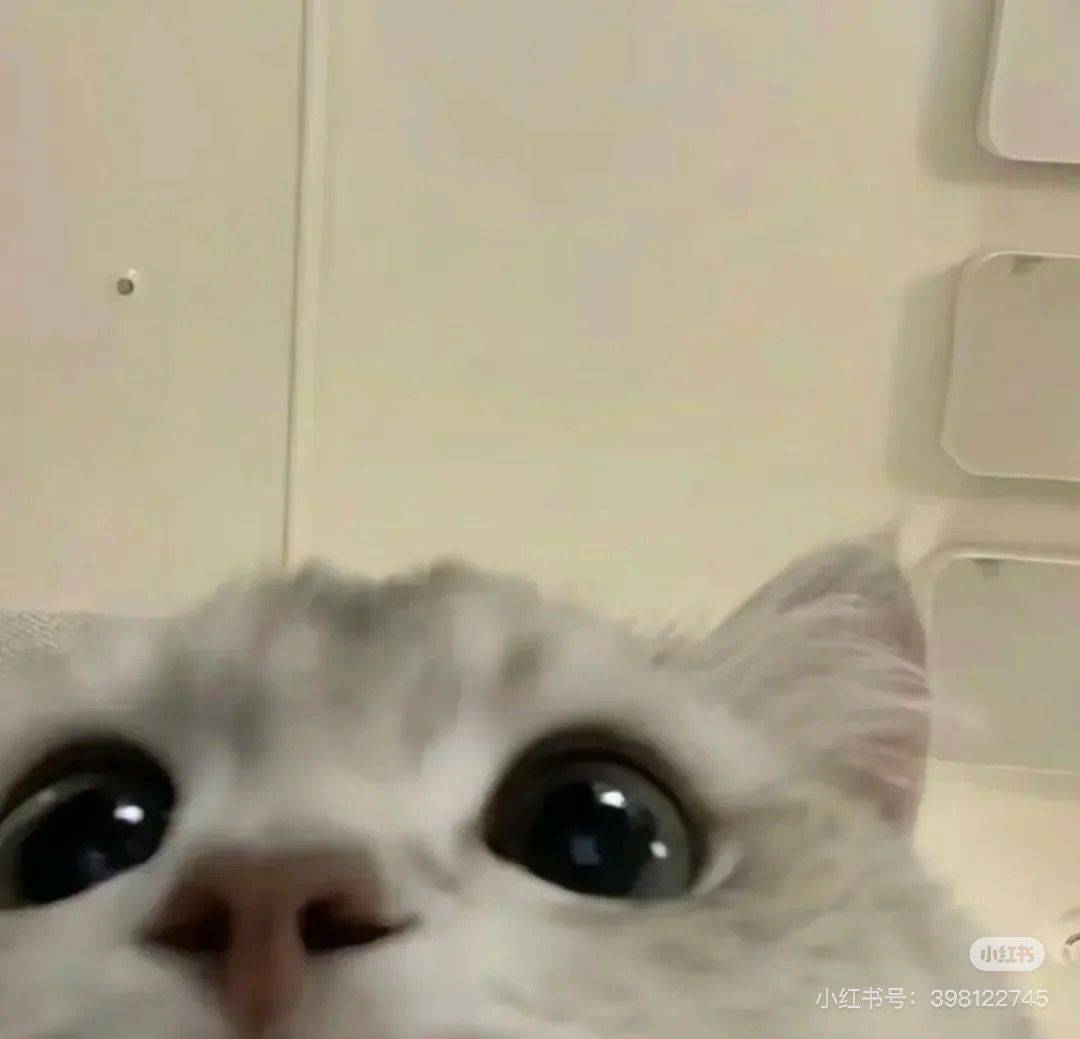 见面的方式有很多种